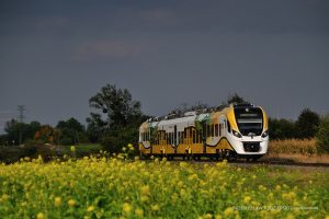 Pierwszy pociąg spalinowo-elektryczny w Kolejach Dolnośląskich. fot. Transportnews.